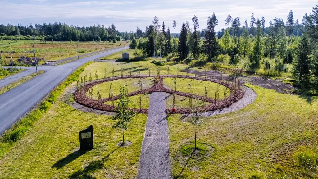Kuvassa on maastoon rakennettu rauhanmerkki. Se sijaitsee nurmikolla, jonka vasemmalla puolella kulkee tie ja oikealla on nuorta metsää. Ympyrään on istutettu puita.